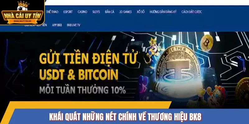 Khái quát những nét chính về thương hiệu BK8